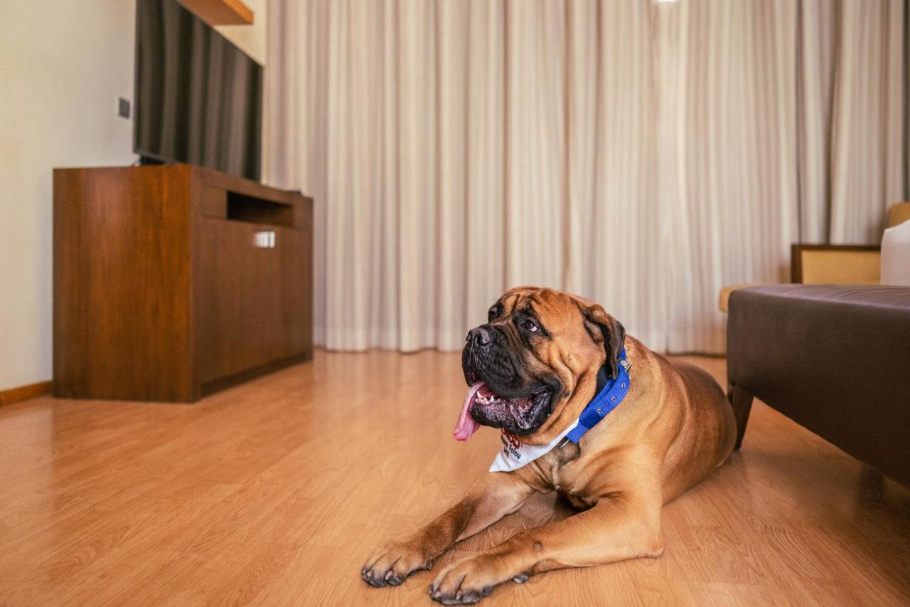 Hyatt Gachibowli