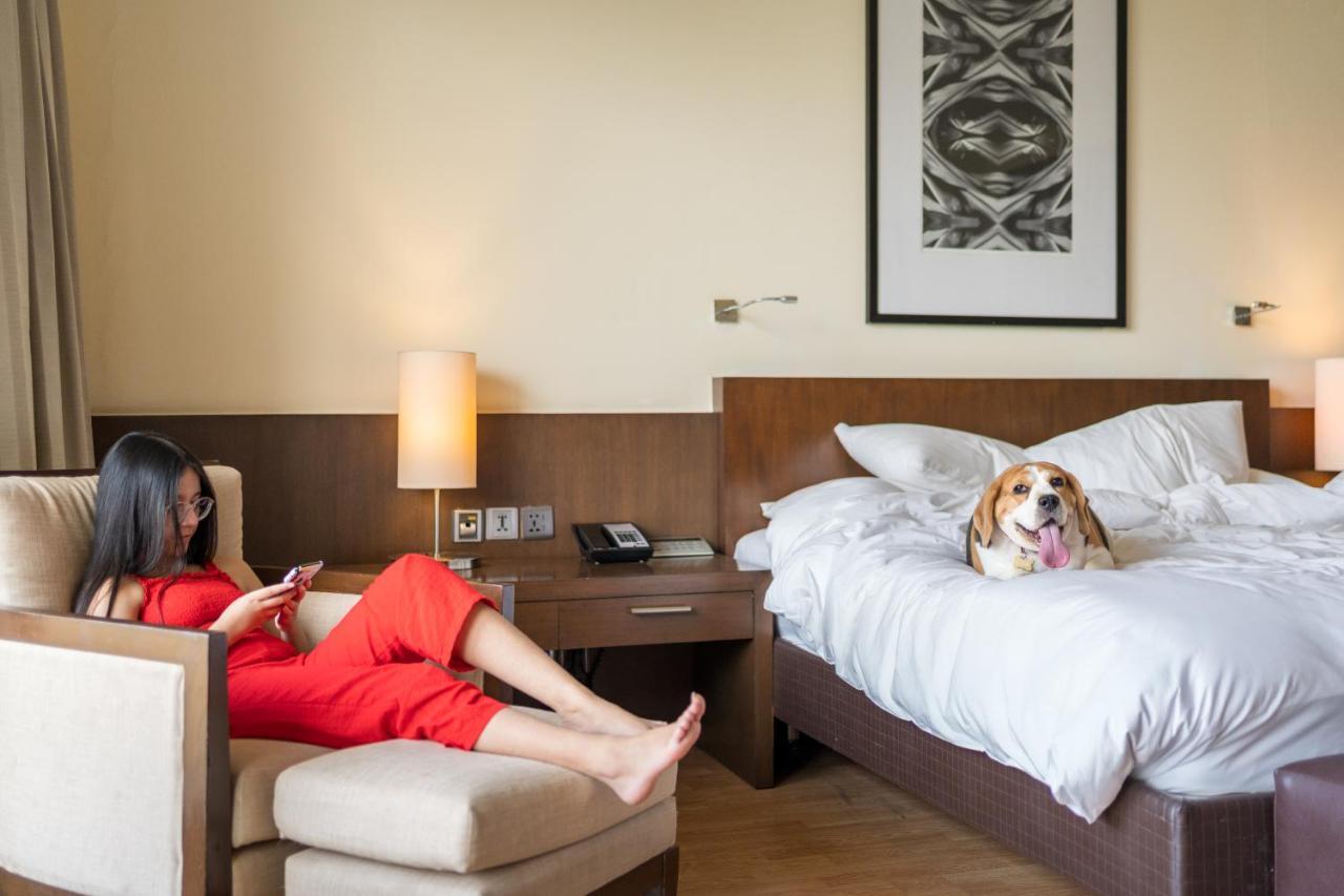 Hyatt Gachibowli Hyderabad