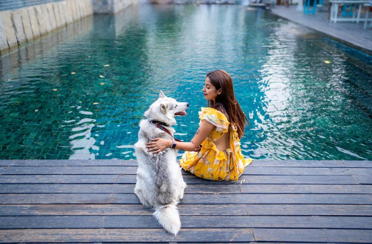 Hotel Hyatt Gachibowli Hyderabad